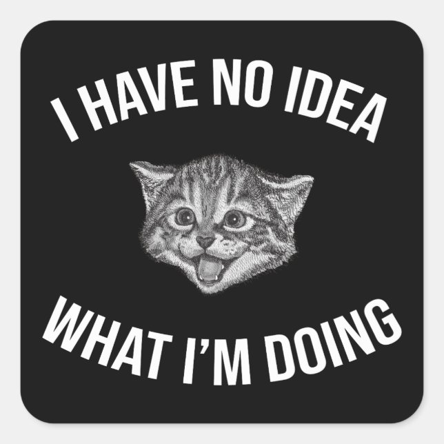 I Have No Idea What I'm Doing Funny Cat Meme Square Sticker (Front)