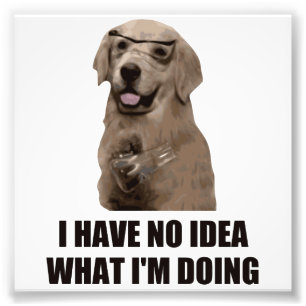 I Have No Idea What I'm Doing Photo Print