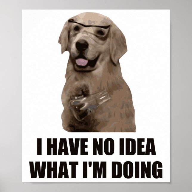 I Have No Idea What I'm Doing Poster (Front)