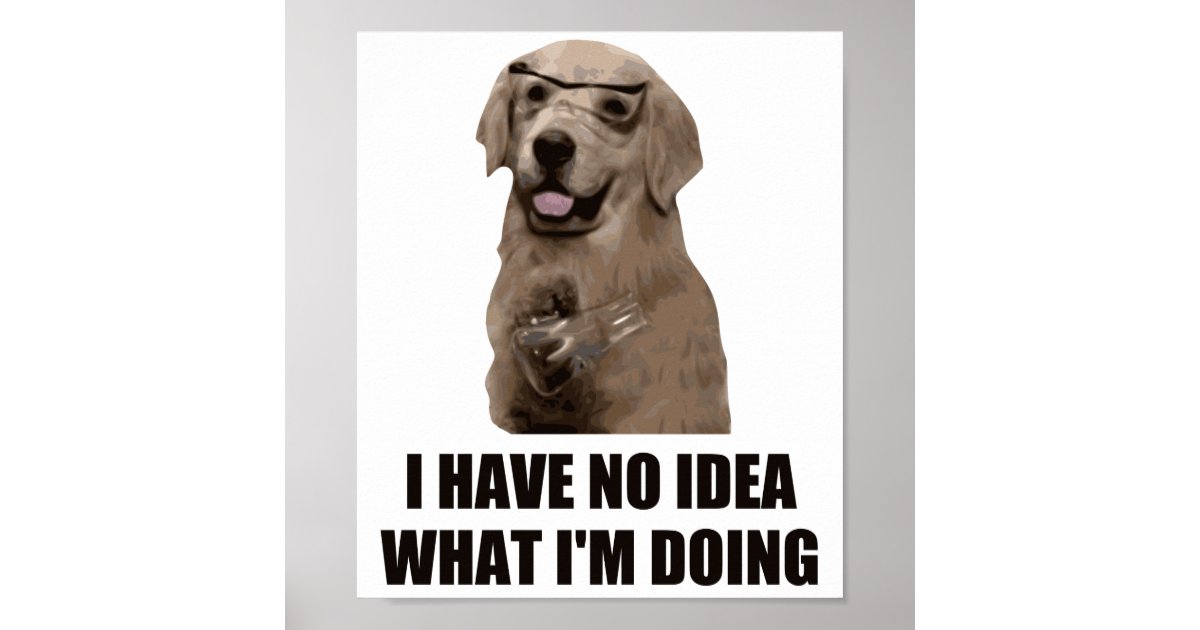 I Have No Idea What I M Doing Poster Zazzle Com