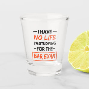 I Have No Life I'm Studying for the Bar Exam Shot Glass