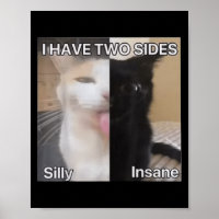 I Have Two Sides Silly Insane Cat Funny For Men Wo