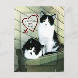 I Have You in my Heart Postcard