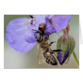 I have you now. (Front Horizontal)