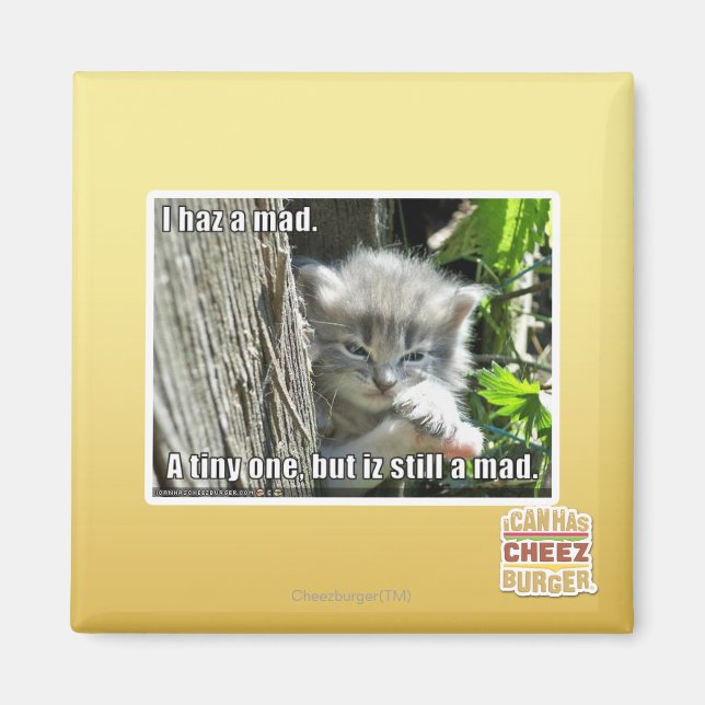 I haz a mad magnet (Front)