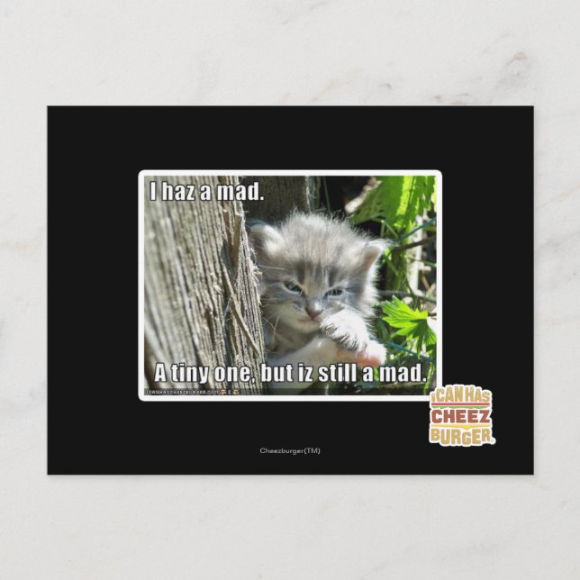 I haz a mad postcard (Front)