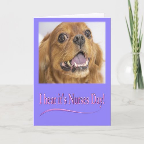 I hear its Nurses Day Cavalier King Charles Card