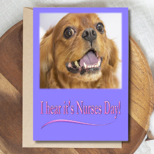 I hear it's Nurses Day Cavalier King Charles Card