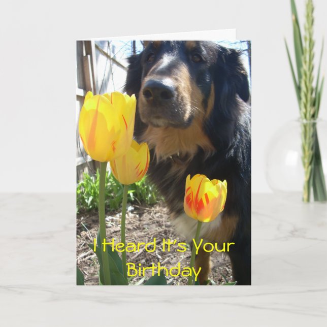 I Heard It's Your Birthday -funny card (Front)