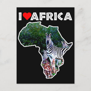 I Heart Africa Zebra Aloe Postcard
