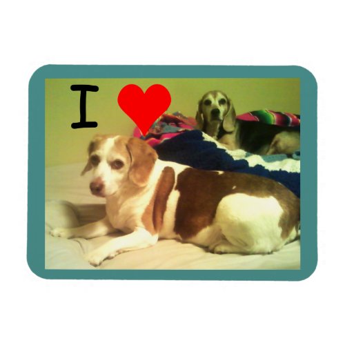I Heart Beagles 3x4 Magnet