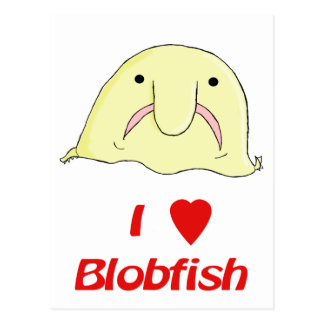 Blobfish Postcards | Zazzle