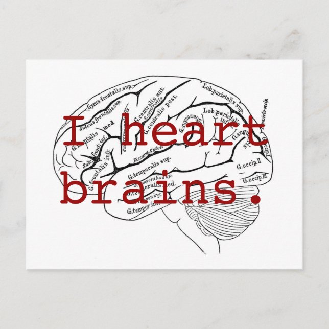 I heart brains. postcard (Front)