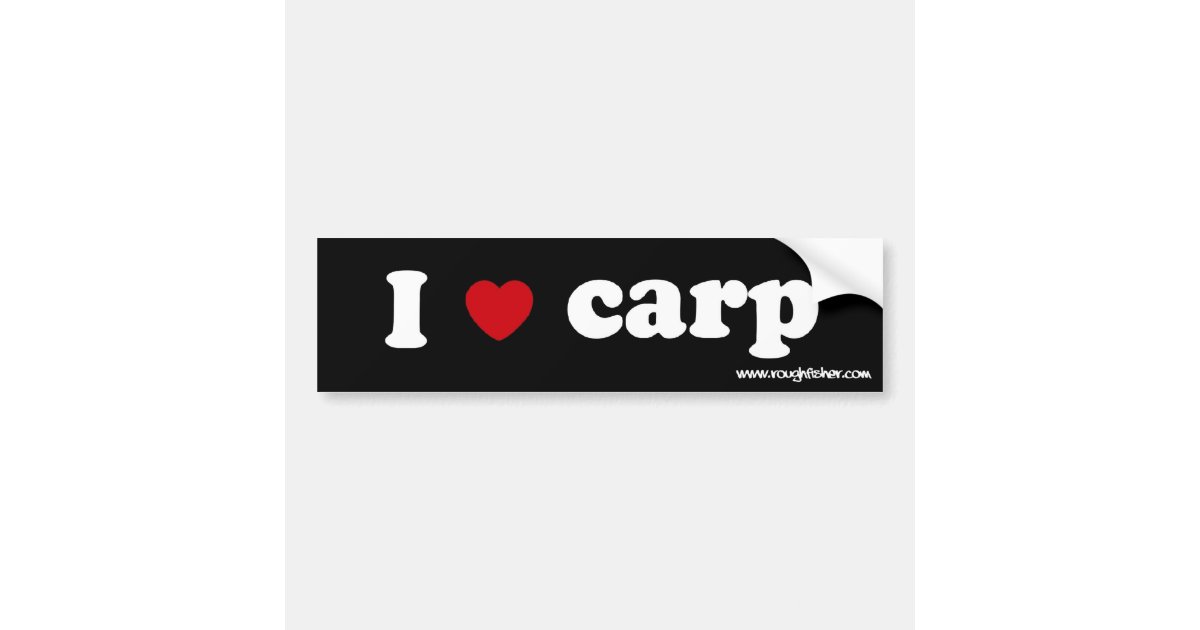 FLY FISHING BUMPER STICKERS Carp on the Fly! 5 circles Decals
