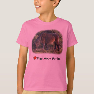 I heart Dartmoor Ponies t-shirt