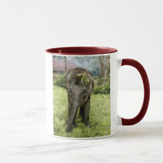 i heart elephants mug