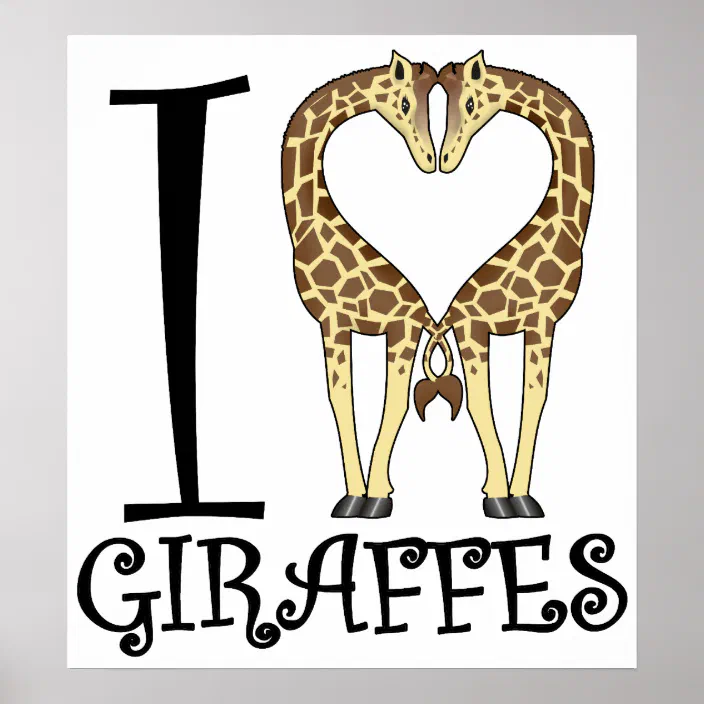 Giraffe Face Look Matte/Glossy PosterWellcoda 
