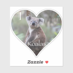 I Heart Koalas Sticker