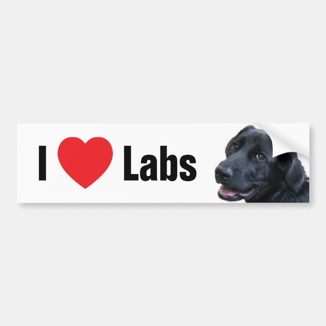 I Heart Labs Bumper Sticker (Front)