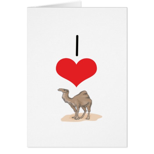 I Heart (Love) Camels Cards (Front)