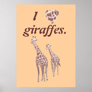 I heart love giraffes, mother child giraffe poster
