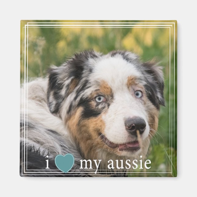 I Heart My Aussie Australian Shepherd White Border Magnet (Front)