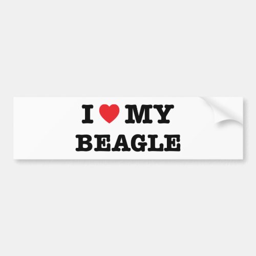 I Heart My Beagle Bumper Sticker