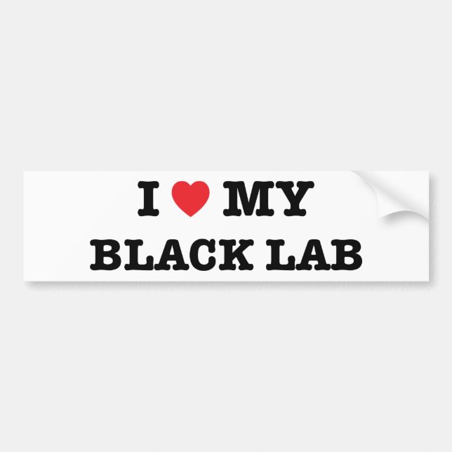 I Heart My Black Lab Bumper Sticker (Front)