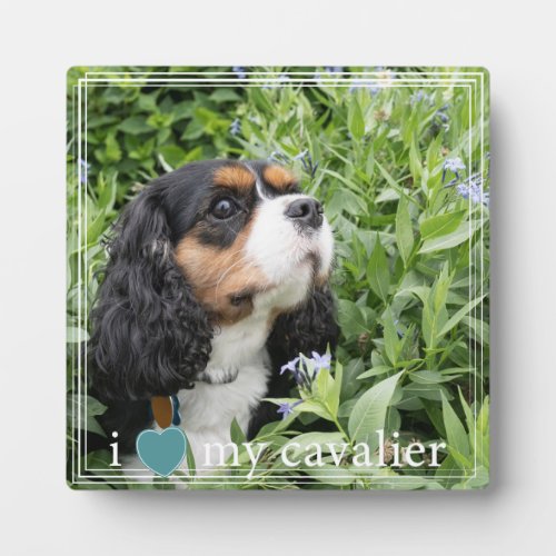 I Heart My Cavalier King Charles Spaniel White Plaque