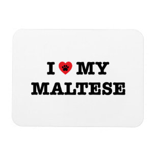 I Heart My Maltese Magnet