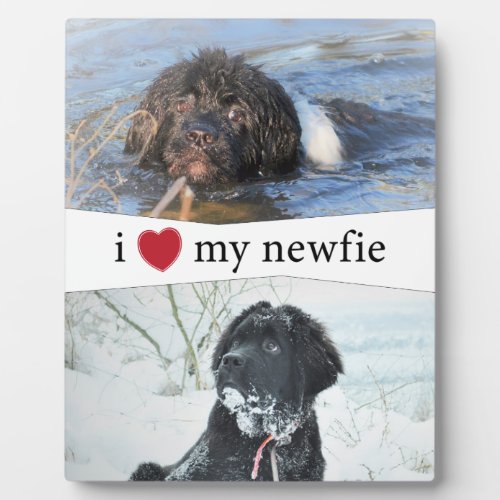 I Heart My Newfie Newfoundland Insert Photos Plaque