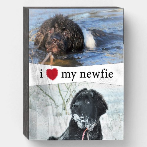 I Heart My Newfie Newfoundland Insert Photos Wooden Box Sign