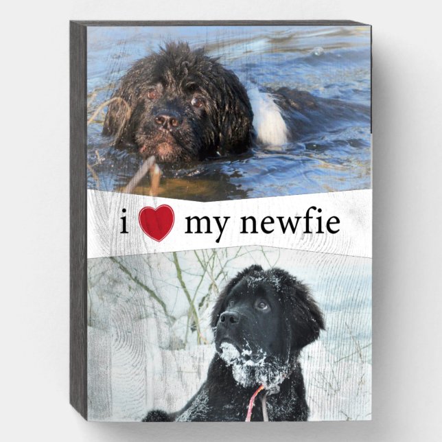 I Heart My Newfie Newfoundland Insert Photos Wooden Box Sign (Front Vertical)