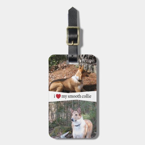 I Heart My Smooth Collie Luggage Tag