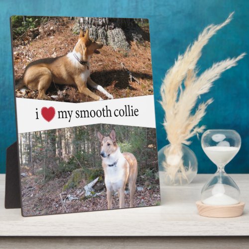 I Heart My Smooth Collie Plaque