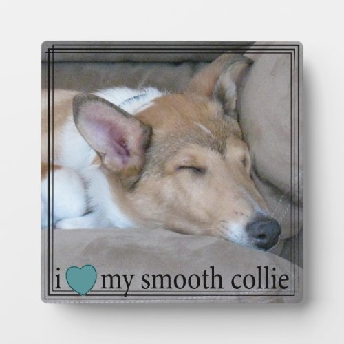 I Heart My Smooth Collie with Geometric Border Pla Plaque