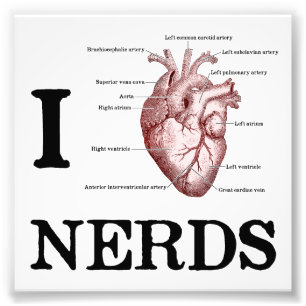 I Heart Nerds Photo Print