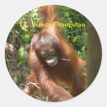 I Heart Orangutans Classic Round Sticker by Krista_Orangutan at Zazzle