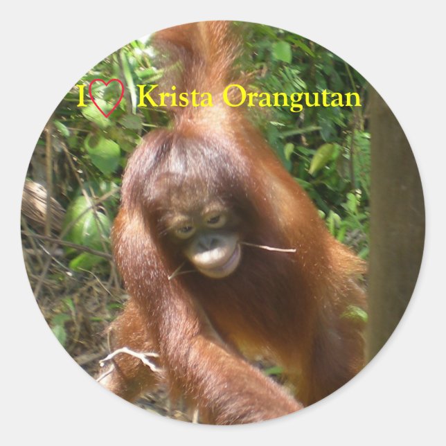 I Heart Orangutans Classic Round Sticker (Front)