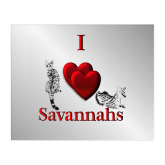 I Heart Savannah Cat Silver Acrylic Print
