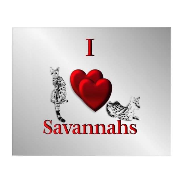 I Heart Savannah Cat Silver Acrylic Print (Front)