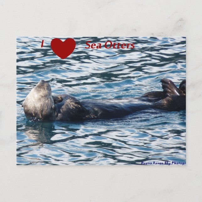I Heart Sea Otters Postcard (Front)