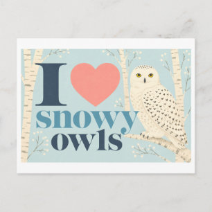 "I [Heart] Snowy Owls" Postcard