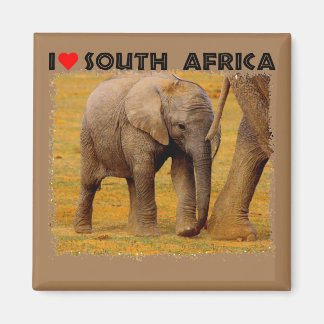I Heart South Africa Elephant calf Magnet