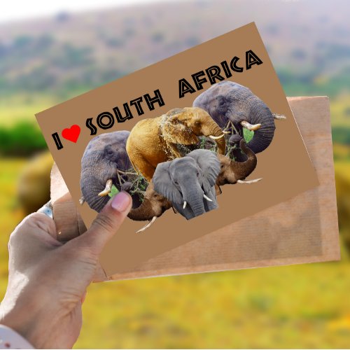 I Heart South Africa Elephant Emblem Postcard