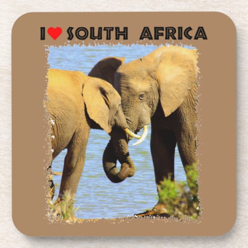 I Heart South Africa elephants in love Beverage Coaster