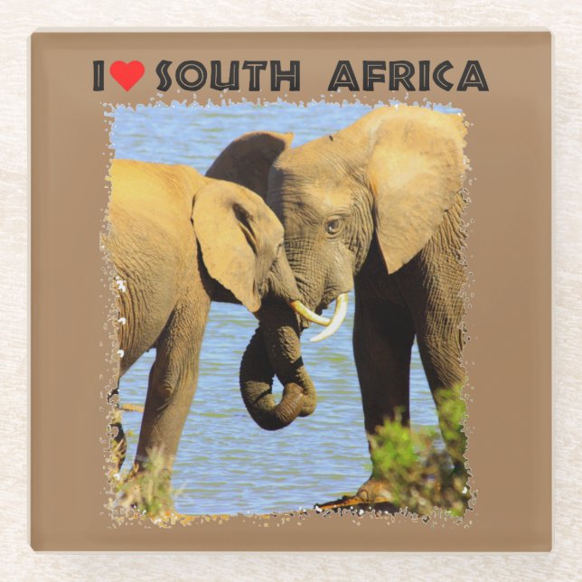 I Heart South Africa elephants in love Glass Coaster (Front)