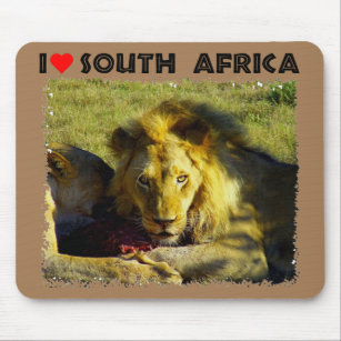 I Heart South Africa Lion Stare Mouse Pad