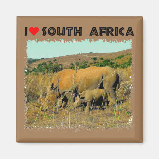 I Heart South Africa Rhino amongst the reeds Magnet