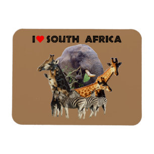 I Heart South Africa Wildlife Collage Magnet